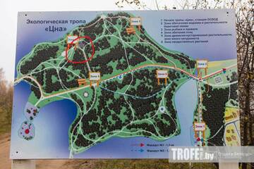 http://upforme.ru/uploads/0002/15/0f/992/t73839.jpg