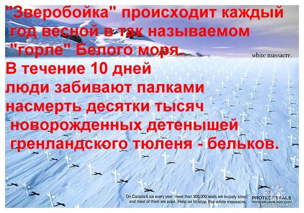 http://upforme.ru/uploads/0002/25/06/12551-1-f.jpg