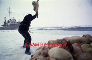 http://upforme.ru/uploads/0002/35/a3/28573-3.jpg