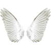 http://upforme.ru/uploads/0002/40/c3/67021-1.png