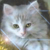http://upforme.ru/uploads/0002/47/65/3678-2.gif