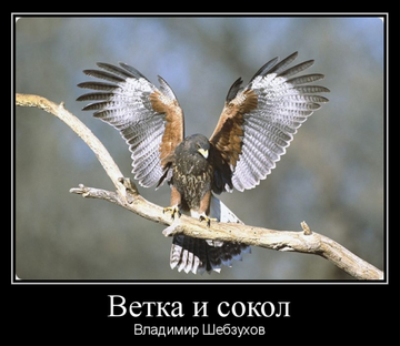 http://upforme.ru/uploads/0002/72/3f/23479/t397409.png
