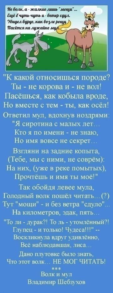 http://upforme.ru/uploads/0002/72/3f/23479/t585519.jpg