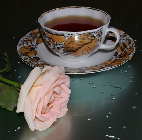 http://upforme.ru/uploads/0002/74/04/61014-1-f.jpg