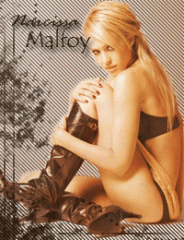 http://upforme.ru/uploads/0002/90/79/270-3.gif