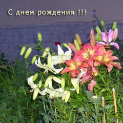 http://upforme.ru/uploads/0002/92/c0/26649-1.jpg