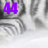 http://upforme.ru/uploads/0002/a4/7f/3155-1.jpg