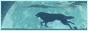 http://upforme.ru/uploads/0002/aa/74/10380-1.gif