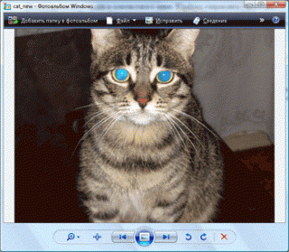 http://upforme.ru/uploads/0002/ae/2c/383-1.gif