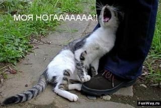 http://upforme.ru/uploads/0002/b2/b4/6346-2.jpg