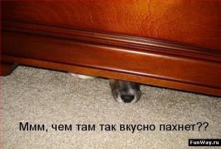 http://upforme.ru/uploads/0002/b2/b4/6347-1.jpg