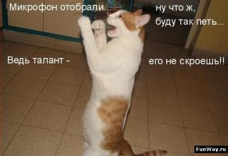 http://upforme.ru/uploads/0002/b2/b4/6347-4.jpg