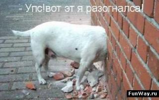 http://upforme.ru/uploads/0002/b2/b4/6347-5.jpg
