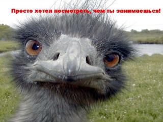http://upforme.ru/uploads/0002/b2/b4/6537-1.jpg