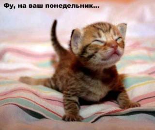 http://upforme.ru/uploads/0002/b2/b4/6537-5.jpg