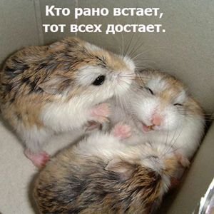 http://upforme.ru/uploads/0002/b2/b4/6551-3-f.jpg