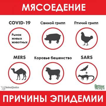 http://upforme.ru/uploads/0002/c6/8a/2/t19735.jpg