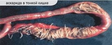 http://upforme.ru/uploads/0002/c6/8a/2/t22061.jpg