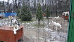 http://upforme.ru/uploads/0002/c6/8a/2/t28781.jpg