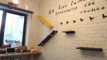 http://upforme.ru/uploads/0002/c6/8a/2/t398323.jpg
