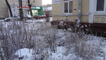 http://upforme.ru/uploads/0002/c6/8a/2/t45201.jpg