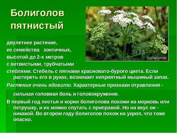 http://upforme.ru/uploads/0002/c6/8a/2/t465802.jpg