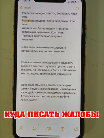 http://upforme.ru/uploads/0002/c6/8a/2/t625047.jpg
