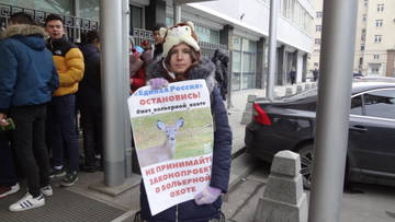 http://upforme.ru/uploads/0002/c6/8a/2/t67161.jpg