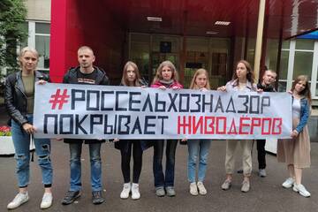 http://upforme.ru/uploads/0002/c6/8a/2/t709726.jpg