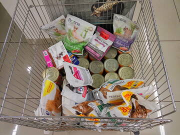 http://upforme.ru/uploads/0002/c6/8a/2/t717930.jpg