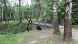 http://upforme.ru/uploads/0002/c6/8a/2/t72639.jpg