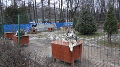 http://upforme.ru/uploads/0002/c6/8a/2/t80266.jpg