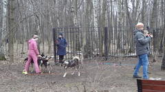 http://upforme.ru/uploads/0002/c6/8a/2/t96014.jpg