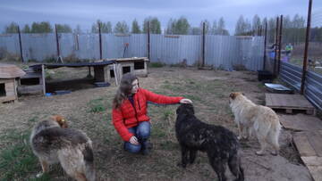 http://upforme.ru/uploads/0002/c6/8a/2/t989310.jpg