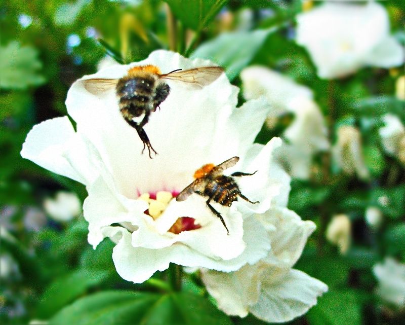 http://upforme.ru/uploads/0002/c7/21/2/39051.jpg