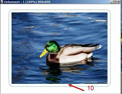 http://upforme.ru/uploads/0002/c7/21/2/42647.gif