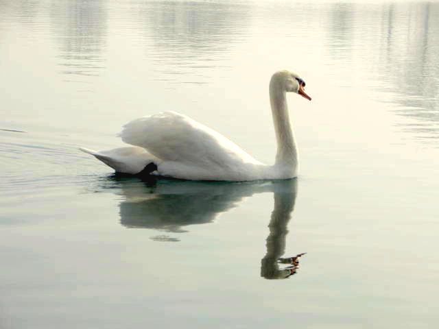 http://upforme.ru/uploads/0002/c7/21/2/90988.jpg