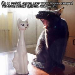 http://upforme.ru/uploads/0002/ca/5d/852-1.jpg