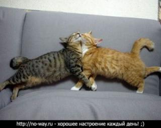 http://upforme.ru/uploads/0002/ca/5d/905-2.jpg