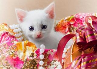 http://upforme.ru/uploads/0002/ca/5d/908-2.jpg