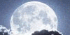 http://upforme.ru/uploads/0002/e2/31/27-1.gif