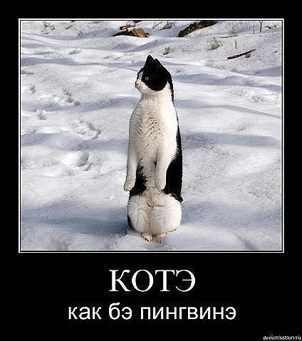 http://upforme.ru/uploads/0002/ec/08/38536-1-f.jpg