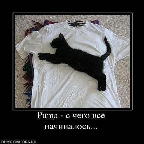 http://upforme.ru/uploads/0002/ec/08/38536-2-f.jpg