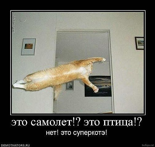 http://upforme.ru/uploads/0002/ec/08/38536-5-f.jpg