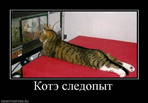 http://upforme.ru/uploads/0002/ec/08/38540-2-f.jpg