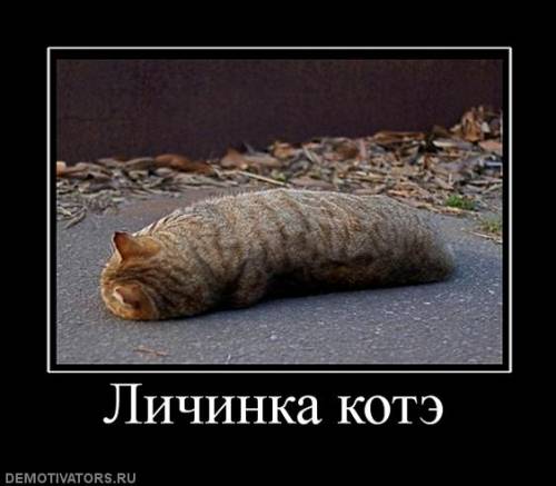http://upforme.ru/uploads/0002/ec/08/38540-3-f.jpg