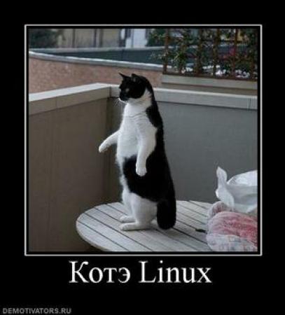 http://upforme.ru/uploads/0002/ec/08/38588-3-f.jpg