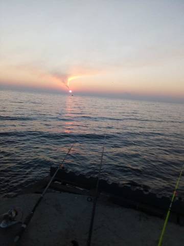 http://upforme.ru/uploads/0002/f9/2d/10379/t372347.jpg