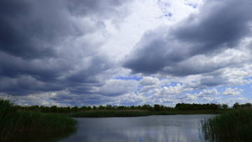 http://upforme.ru/uploads/0002/f9/2d/3073/t285603.jpg