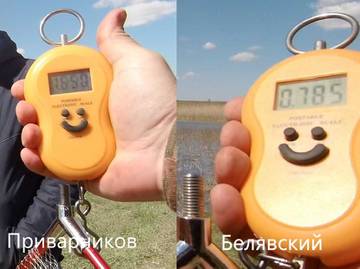 http://upforme.ru/uploads/0002/f9/2d/3073/t421139.jpg